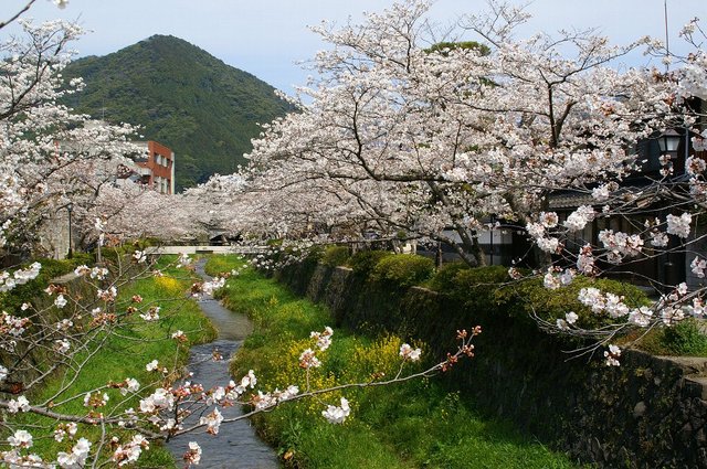 20080404_yamaguchitrip_0021